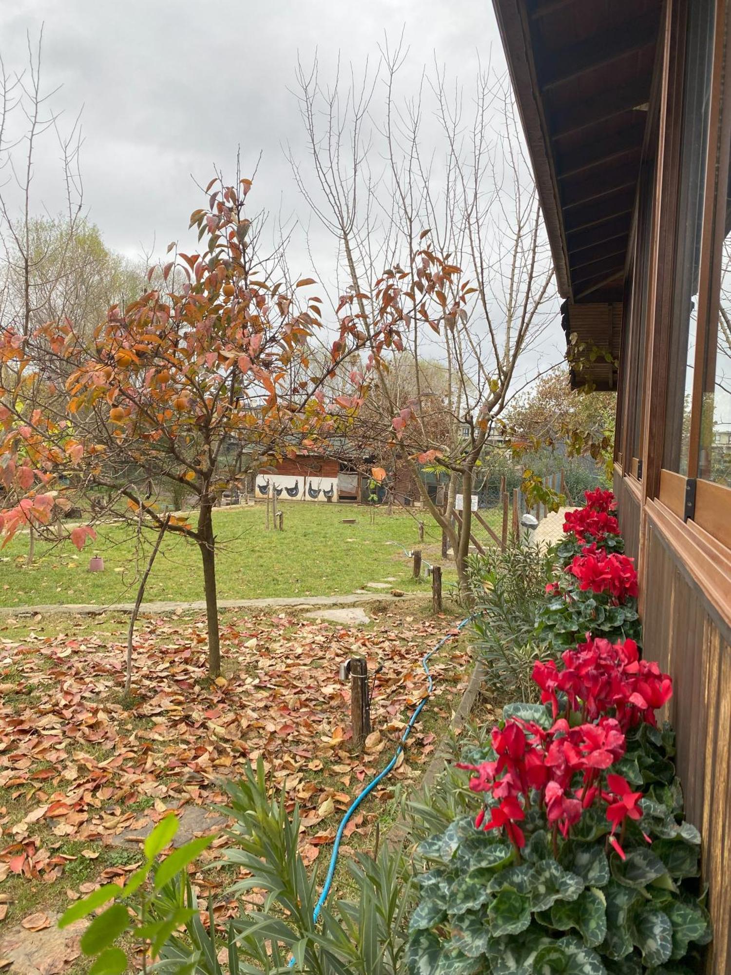 Kerpe Diem Otel 외부 사진