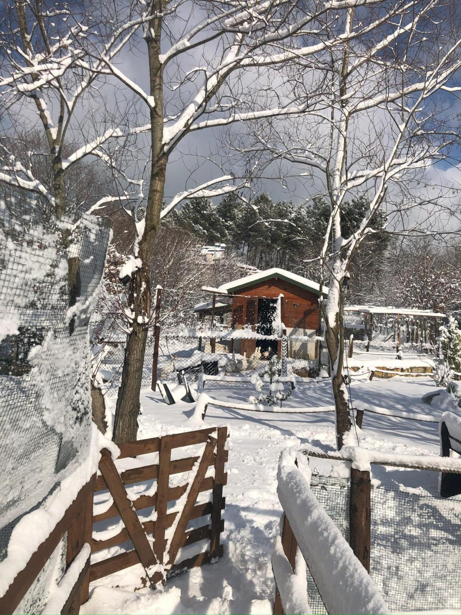 Kerpe Diem Otel 외부 사진