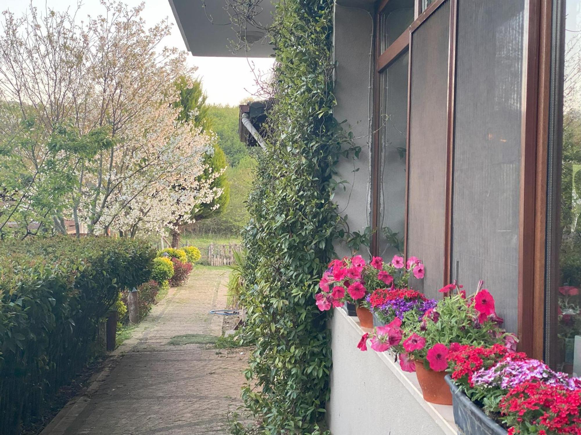 Kerpe Diem Otel 외부 사진