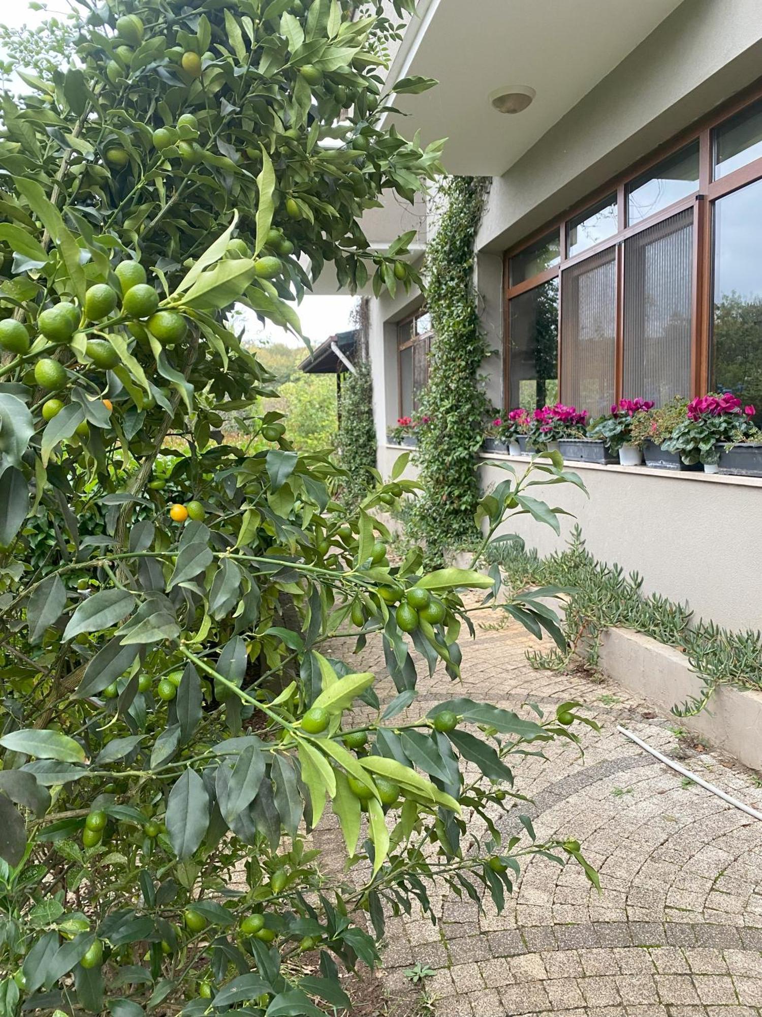 Kerpe Diem Otel 외부 사진